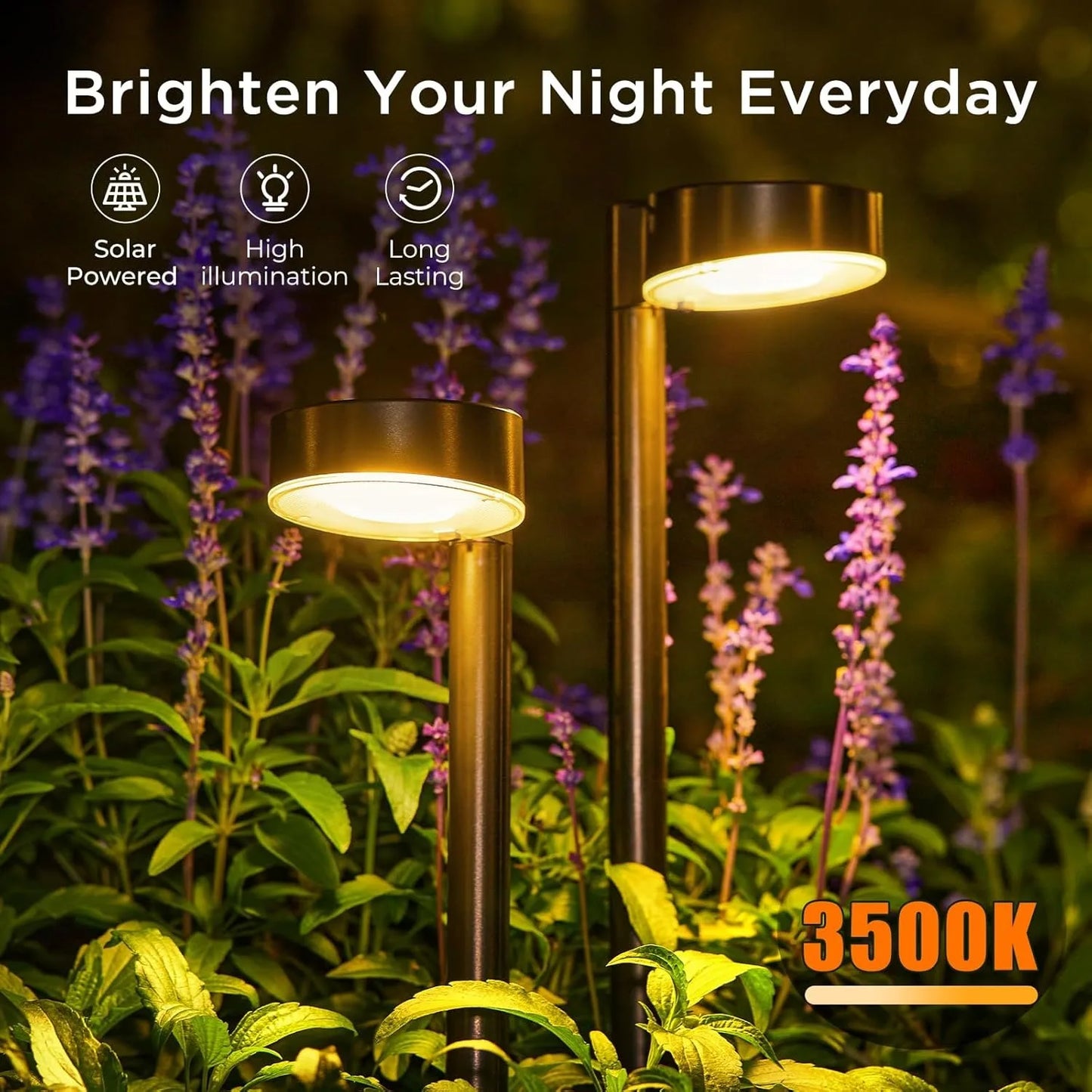 8 Pack Solar Pathway Lights Outdoor - LoongFly Online
