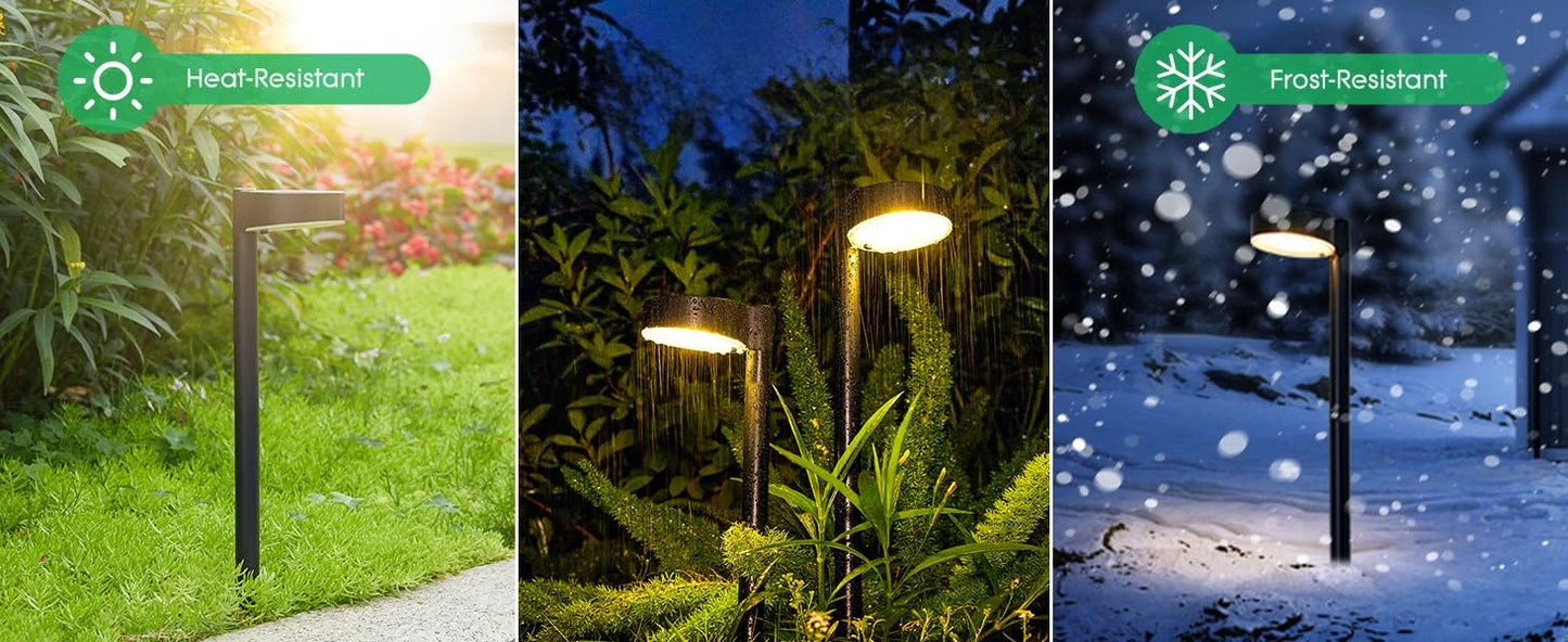 8 Pack Solar Pathway Lights Outdoor - LoongFly Online