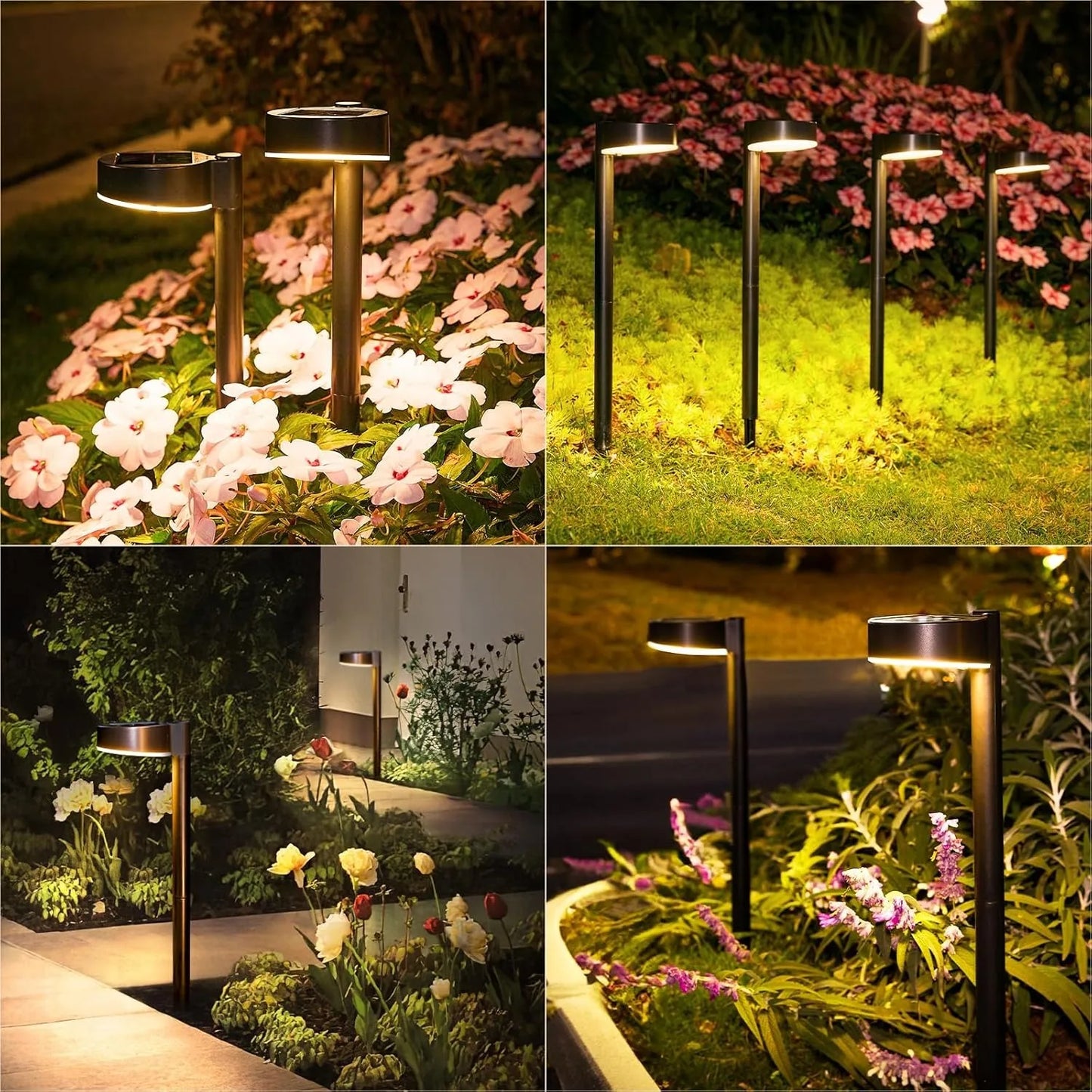8 Pack Solar Pathway Lights Outdoor - LoongFly Online