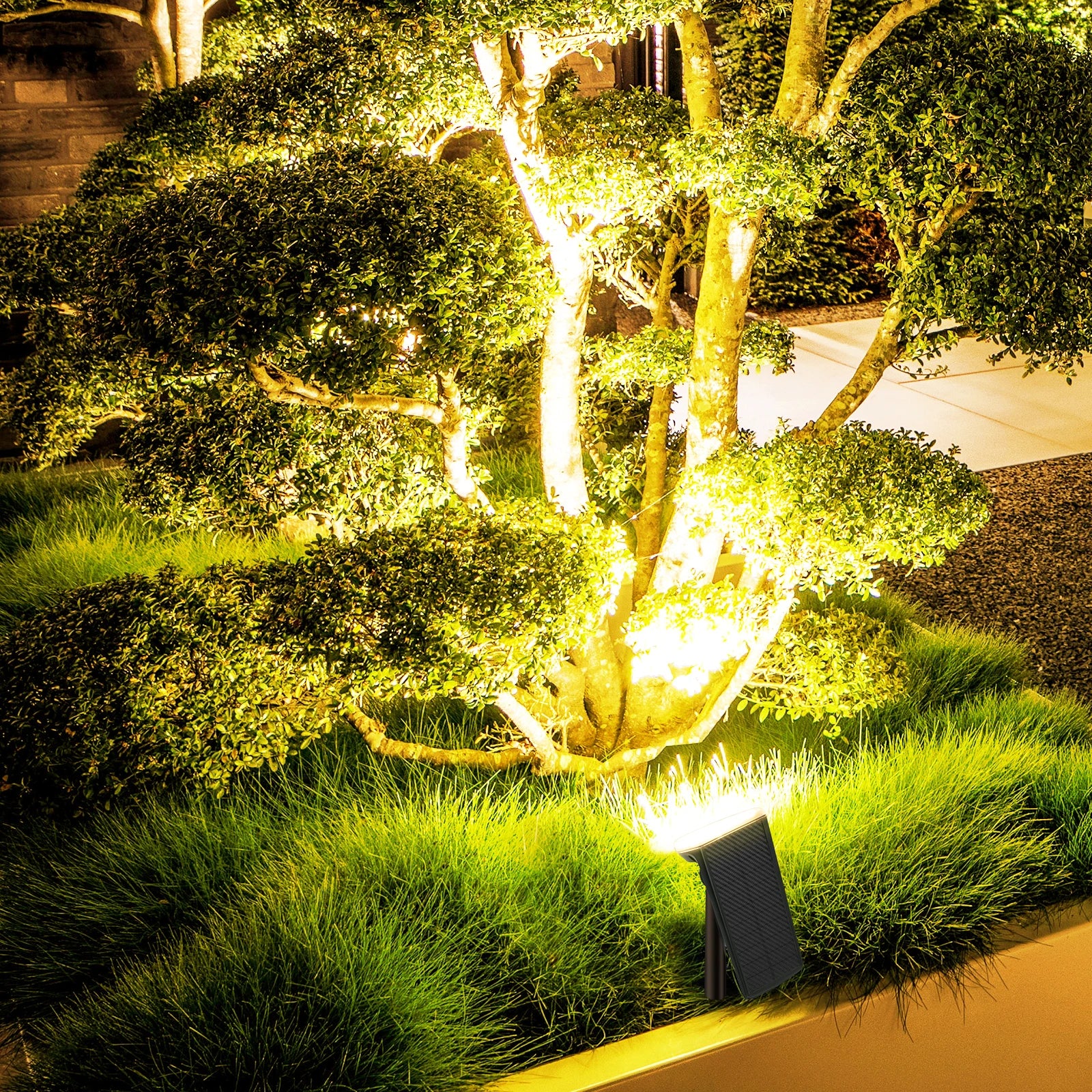 2 Pack Solar Spotlights Outdoor Warm Light - LoongFly Online