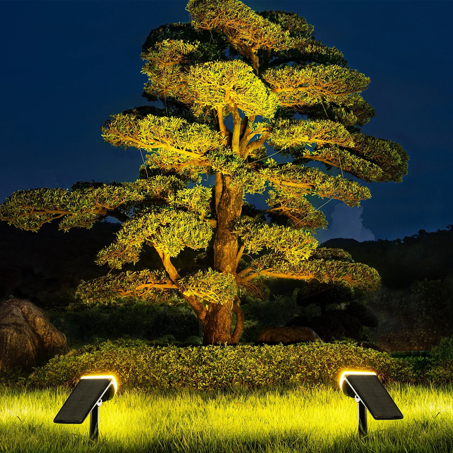 2 Pack Solar Spotlights Outdoor Warm Light - LoongFly Online